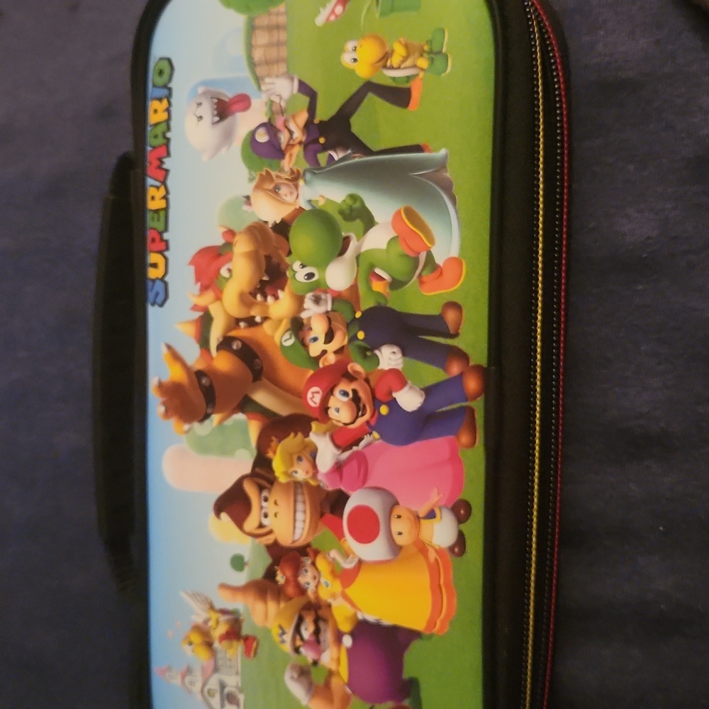Nintendo Carrying Case